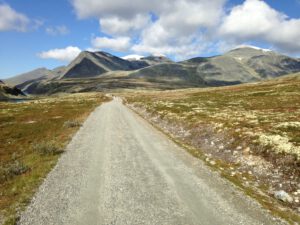 Fjell
