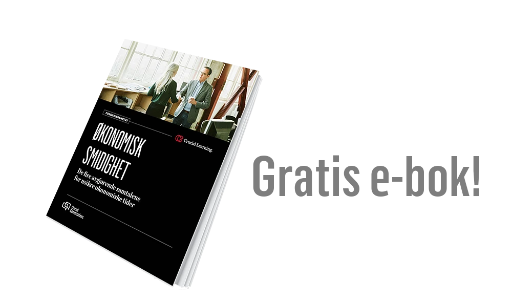 Økonomisk smidighet - e-bok